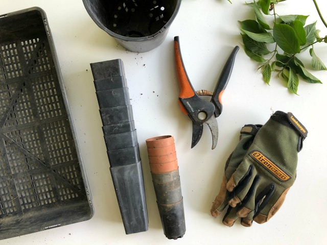 black-pruning-shears-beside-green-gloves